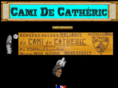 camidecatheric.org