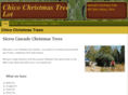 chicochristmastree.com