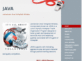 javavolleyball.com