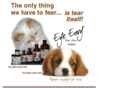 eyeenvy.org