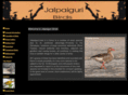 jalpaiguribirds.com