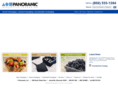 panoramicinc.com