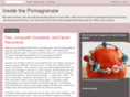 pomegranateandeye.com