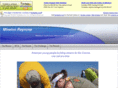 missionreynosa.com