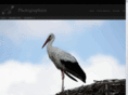 raubvogel.net