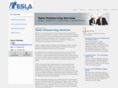 teslaoutsourcingservices.com