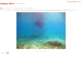 akamasdiver.com