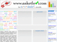 anketleri.com