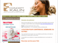 conceptkalin.com