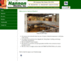 hannonelectricinc.com