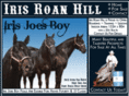 irisroanhill.com