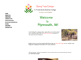 springtulip.com