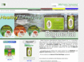 alliedexpressintl.com