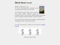 birchstreetassets.com