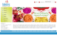 colourexindia.com