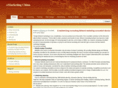 emarketingchina.com