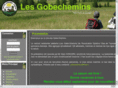 gobechemins.com