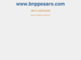 bnppesaro.com