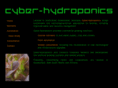 cybhyd.com