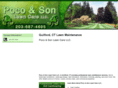 pocoandsonlawncare.com
