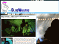 thebluewalrus.com