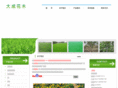 dachenghm.com