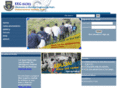 eeg0203.com