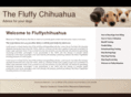 fluffychihuahua.com
