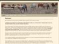 givensquarterhorses.com