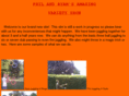 jugglingfools.com