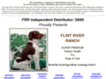 flintriverranch.biz