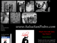 salsasanpedro.com