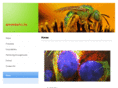 bioinvents.com