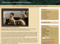 brownfinandinsserv.com