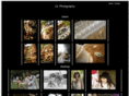 clphotography.net