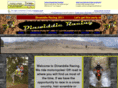dinwiddieracing.com
