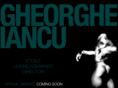 gheorgheiancu.com