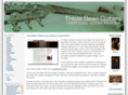 travisbean.com