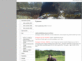 entangen.com