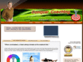 conquercoaching.com