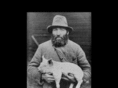 pigsparadise.com