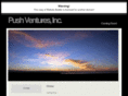 pushventures.net