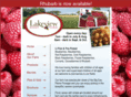 lakeviewberryfarm.com