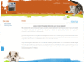 lewisanimalhospital.net
