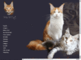 misbcat.dk