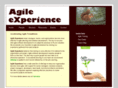 agilexp.com
