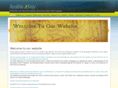 arabic2day.com