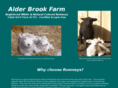 alderbrookromneys.com