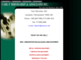 bernhardtassociatesinc.com