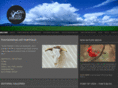 pictures-sea-animals.com